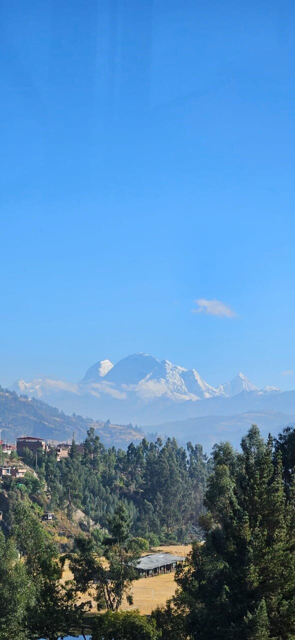 Maimara Hotel-官方