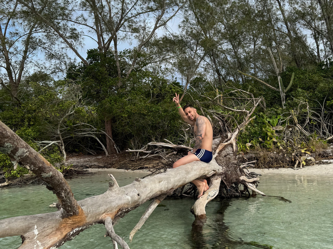 Japones Island-卡布弗里乌必去景点