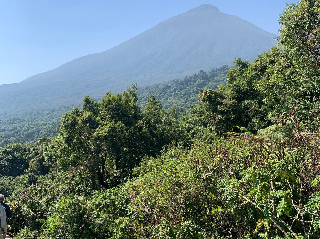 Musana Tours & Travel Uganda Ltd-恩德培必去景点