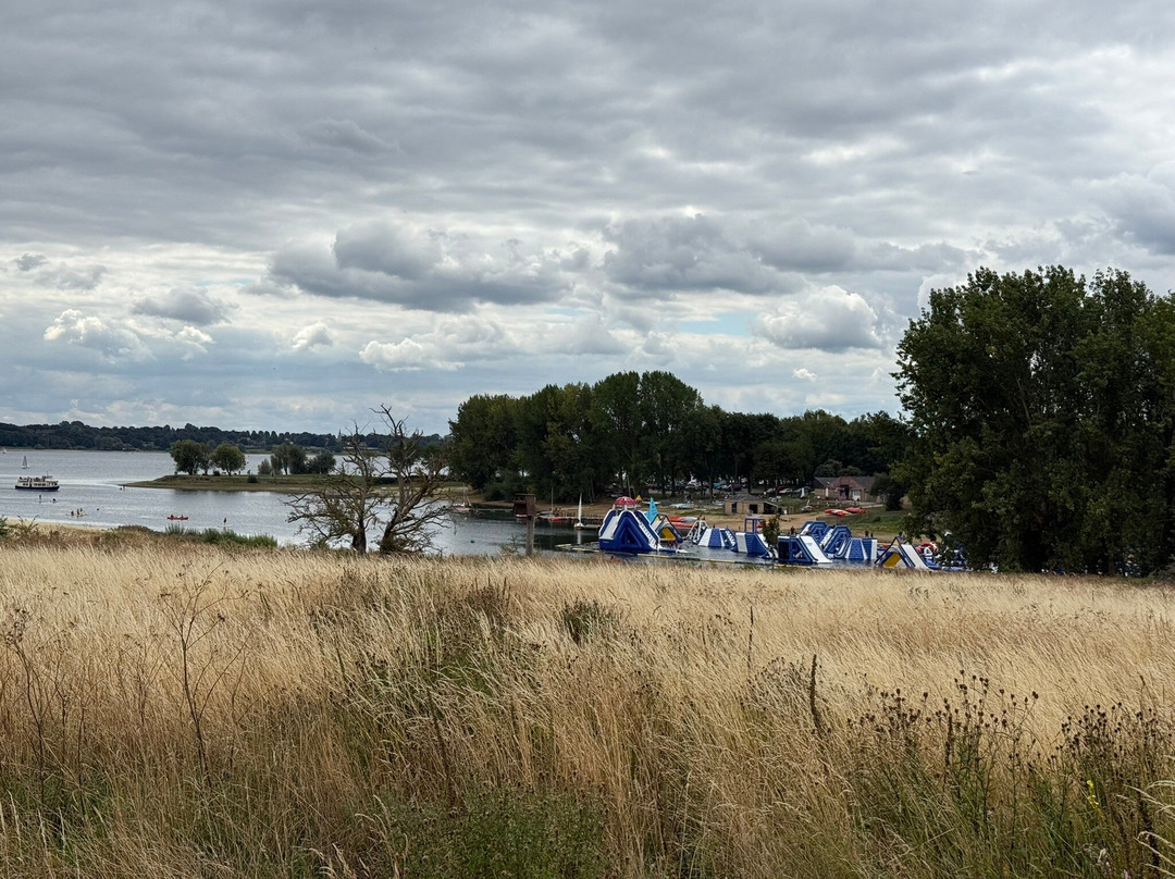 Rutland Water-奥克姆必去景点