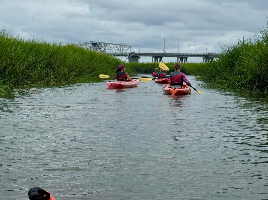 Beaufort Kayak Tours-博福特必去景点