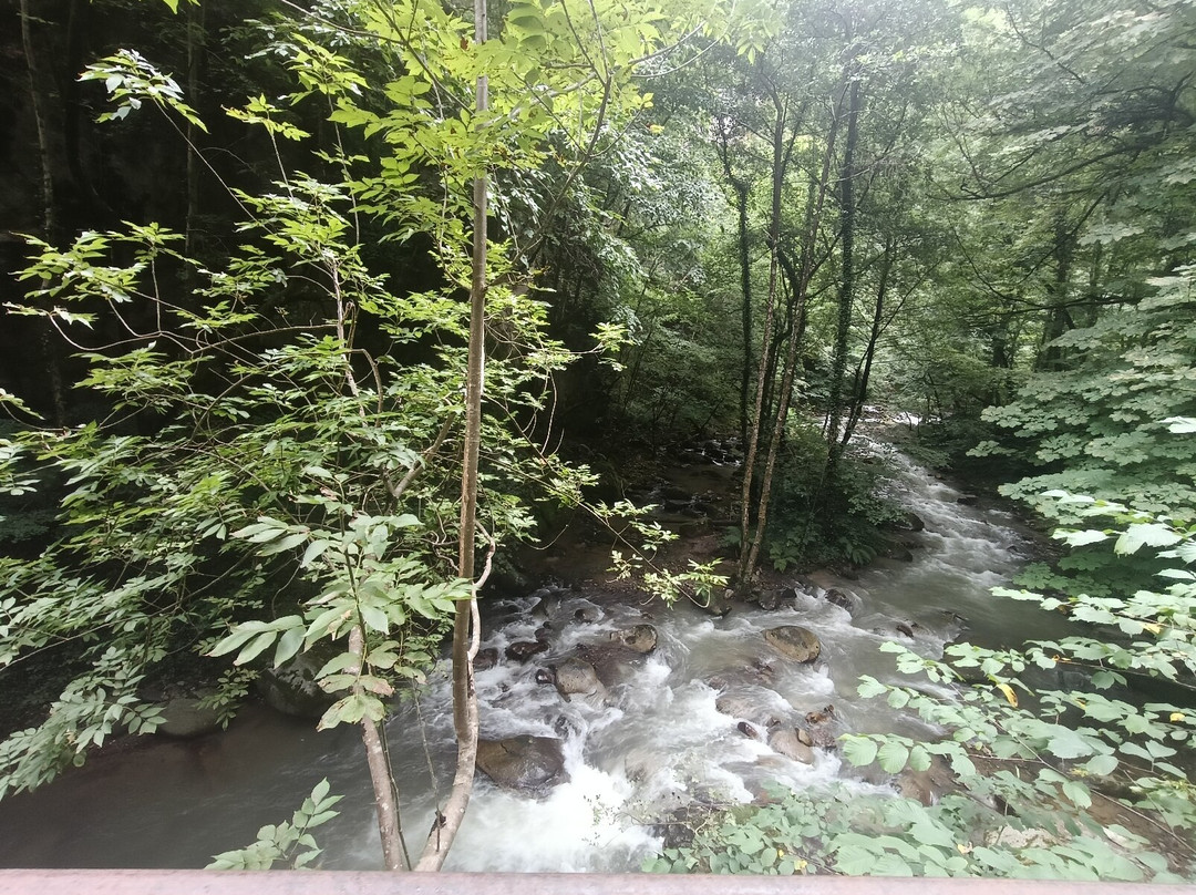 Gaul Canyon-拉纳必去景点