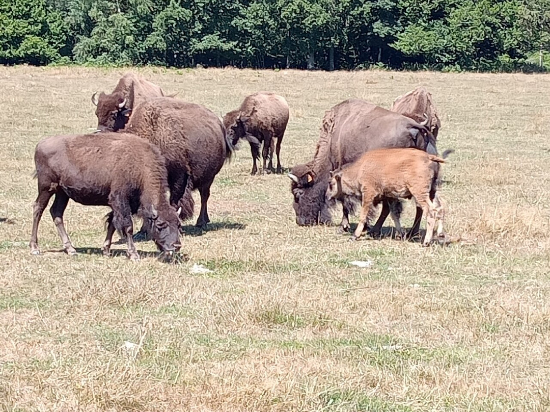 Elevage du Palais-Bourganeuf必去景点