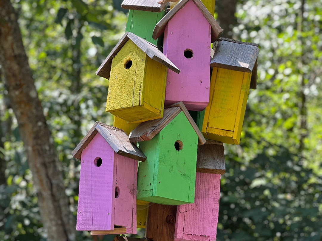 Sakai Park-班布里奇岛必去景点