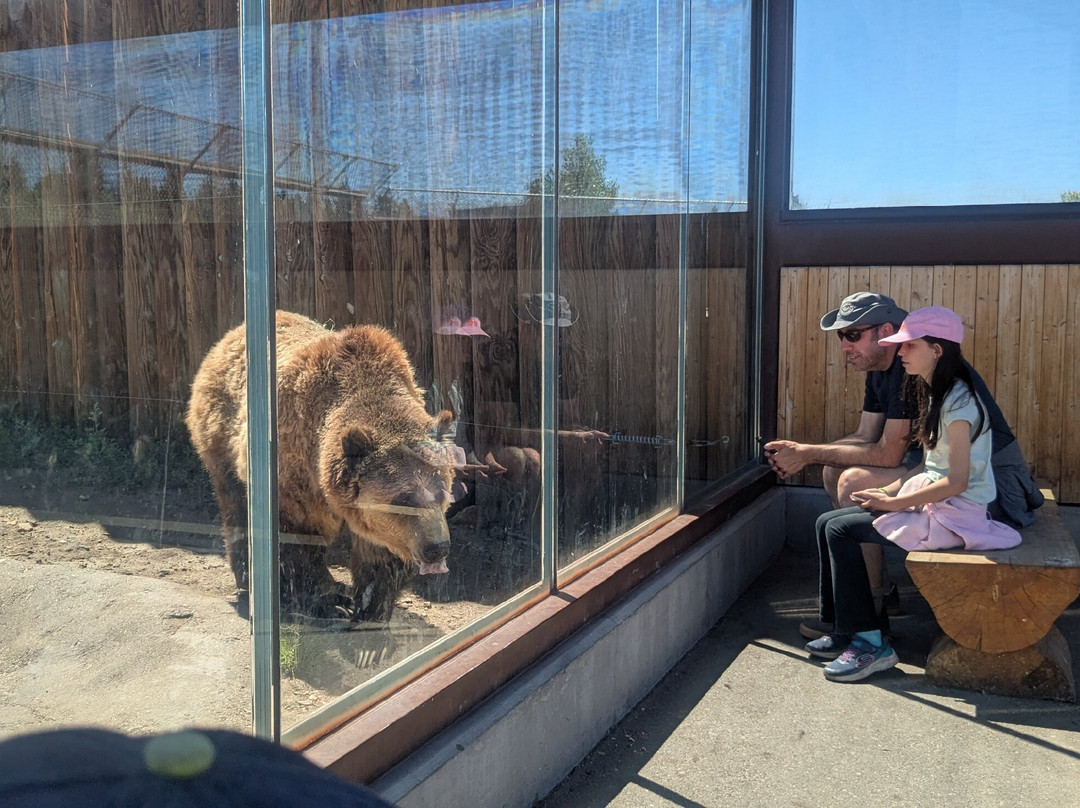 Big Bear Alpine Zoo at Moonridge-大熊湖必去景点