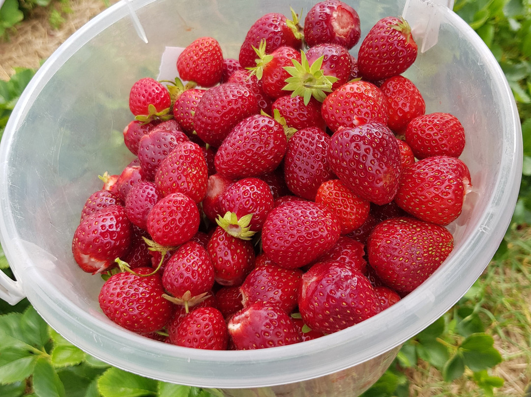 Axelssons i Aby-Malilla必去景点