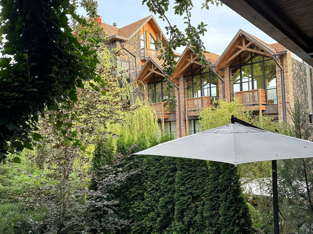 Dilijani Tun Hotel主图