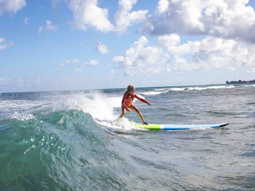 North Shore Oahu Surf School-哈雷瓦必去景点