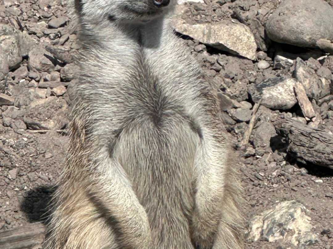 Pangea Park-Bjaeverskov必去景点