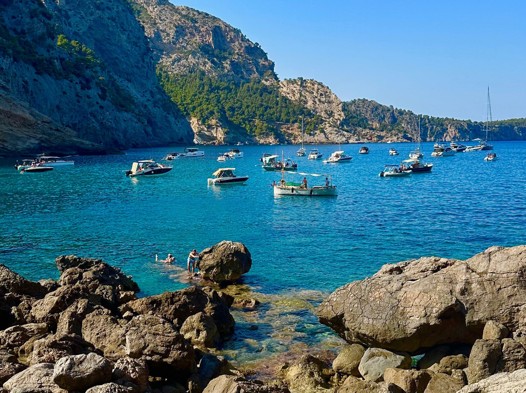 Platja Des Coll Baix-阿库迪亚必去景点