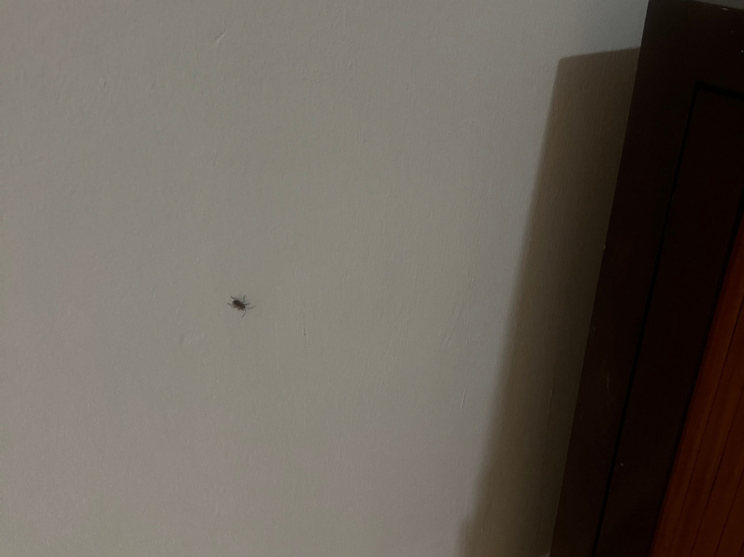 Santa Maria Beach-圣玛丽亚岛必去景点