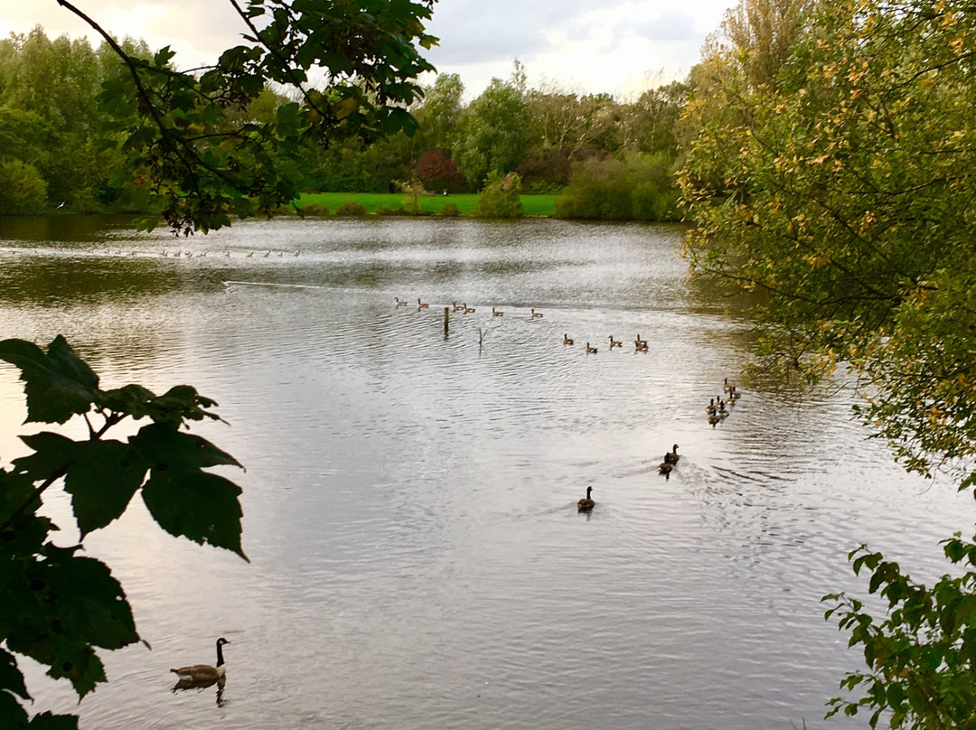 Orrell Water Park-Orrell必去景点