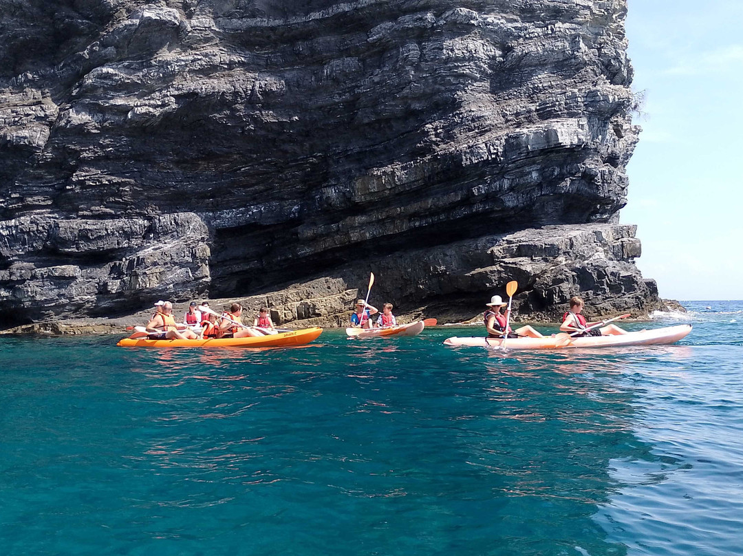 Seawatching Savona/geologi A Spasso-Bergeggi必去景点
