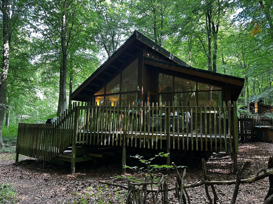 Blackwood Forest-温彻斯特必去景点