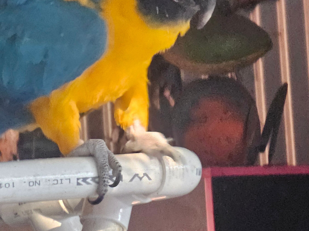 Kangaroo Haven-库努纳拉必去景点