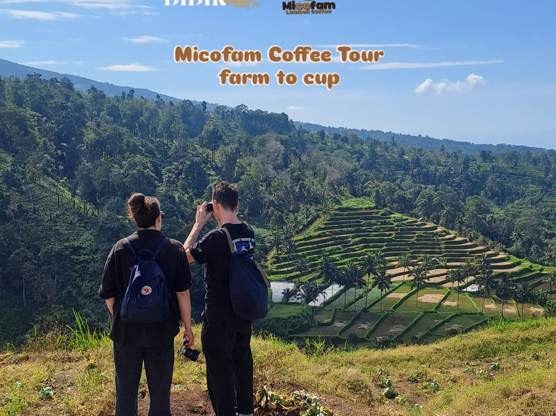 Micofam Lombok Coffee-Sapit必去景点