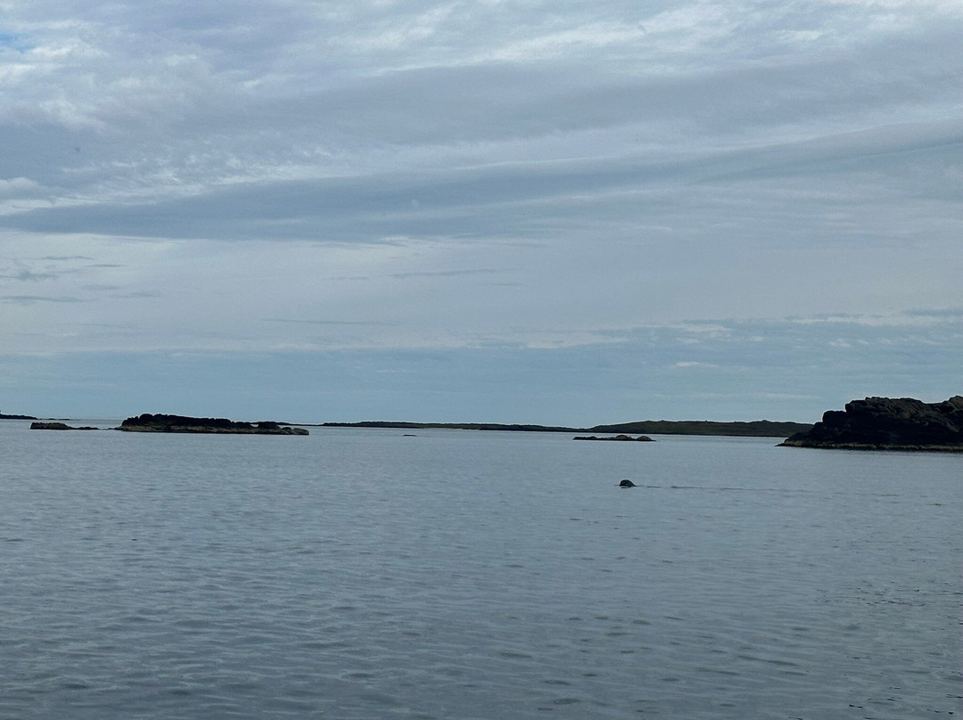 Arctic Fun-Djupivogur必去景点