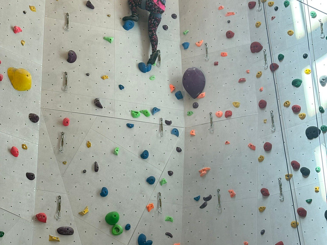 Aethos Monterosa主图