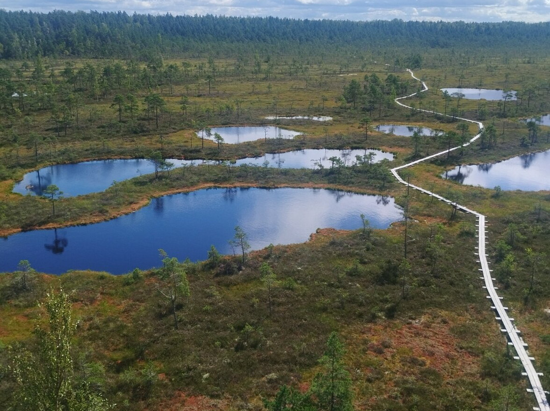 Mukri Bog-Kehtna必去景点
