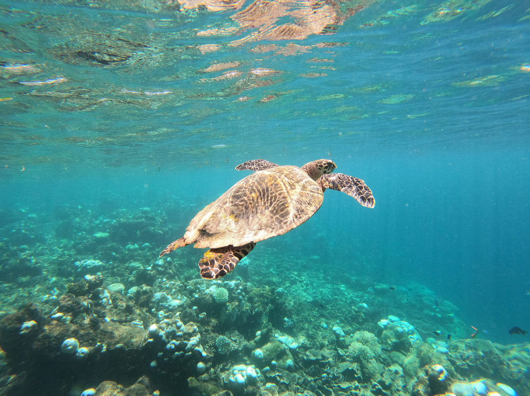 S&Y Tours and Travel-马累必去景点