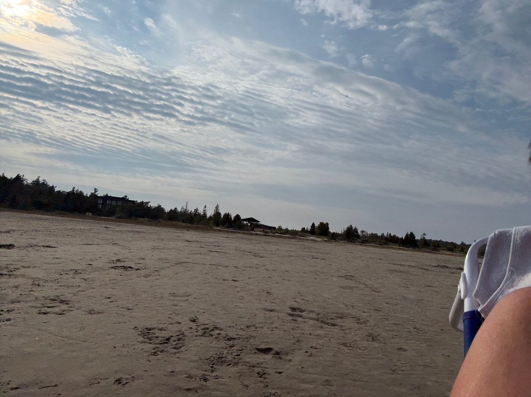 Singing Sands Beach-托伯莫里必去景点