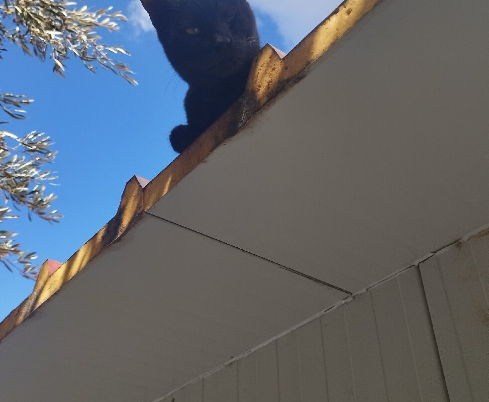 Takis Shelter-Ierapetra必去景点