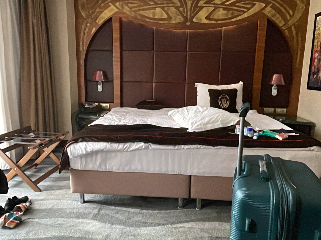 Warwick Ankara主图