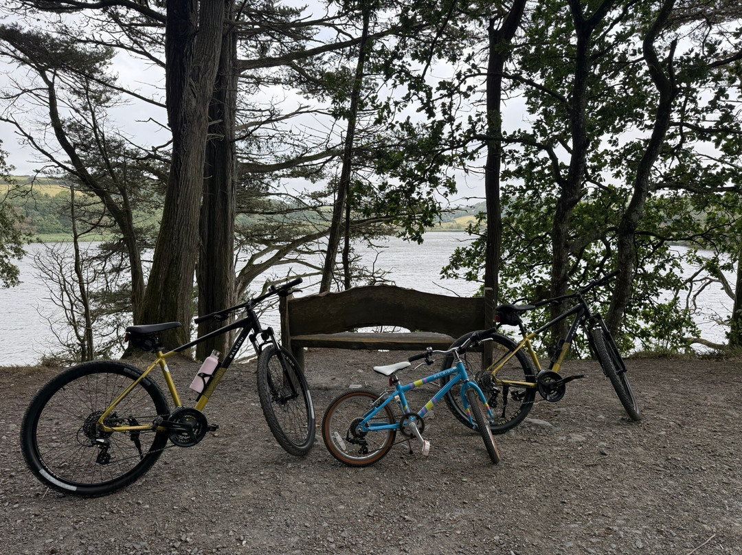 Lakeside Cycles-赫尔斯顿必去景点
