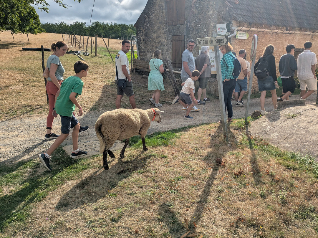 Elevage du Bouyssou-Carsac-Aillac必去景点