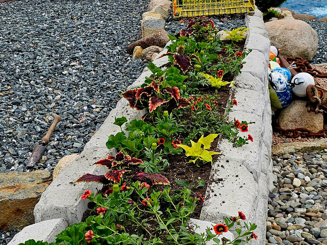 Golf of Maine-Southwest Harbor必去景点