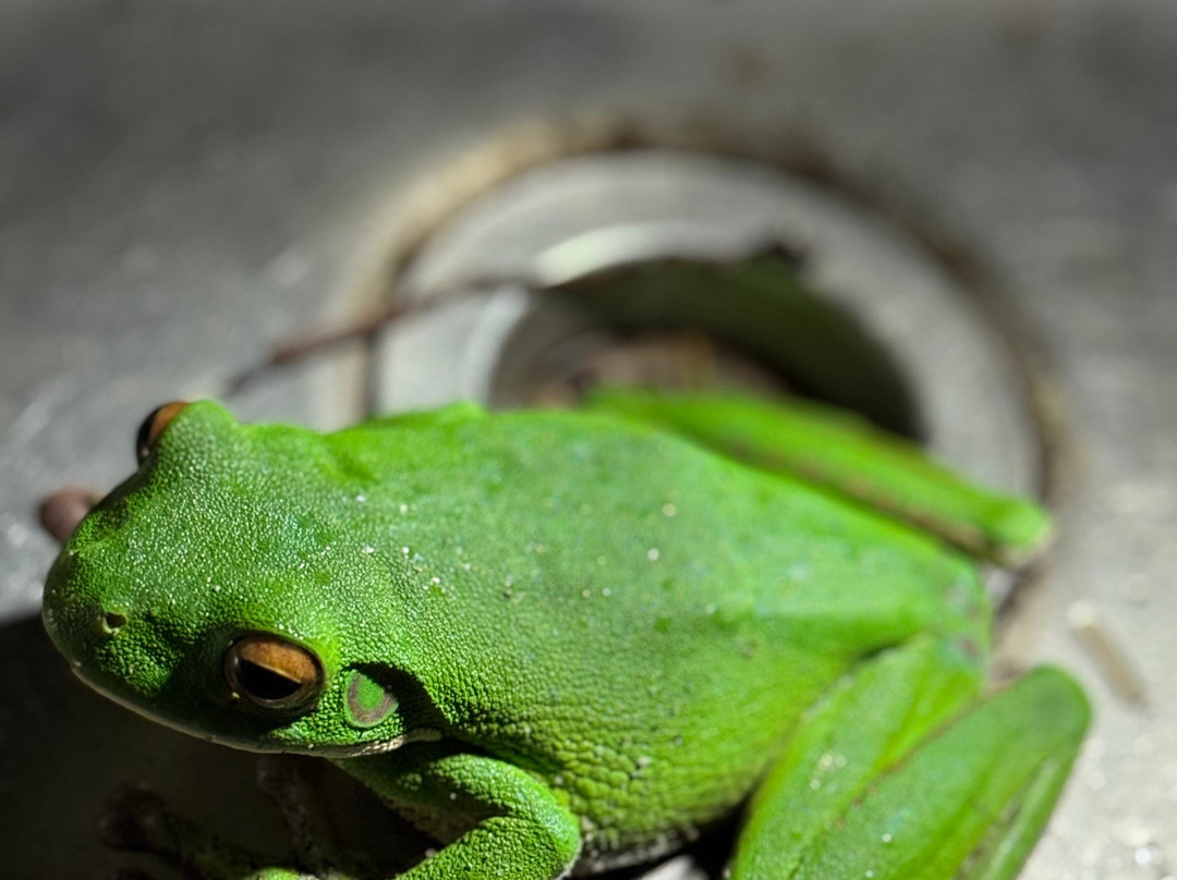 Tagalong Tours of Australia-三一海滩必去景点