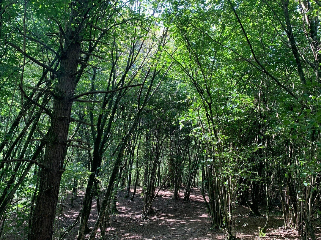 Sentiero del Dint dal Lago di Barcis-Barcis必去景点