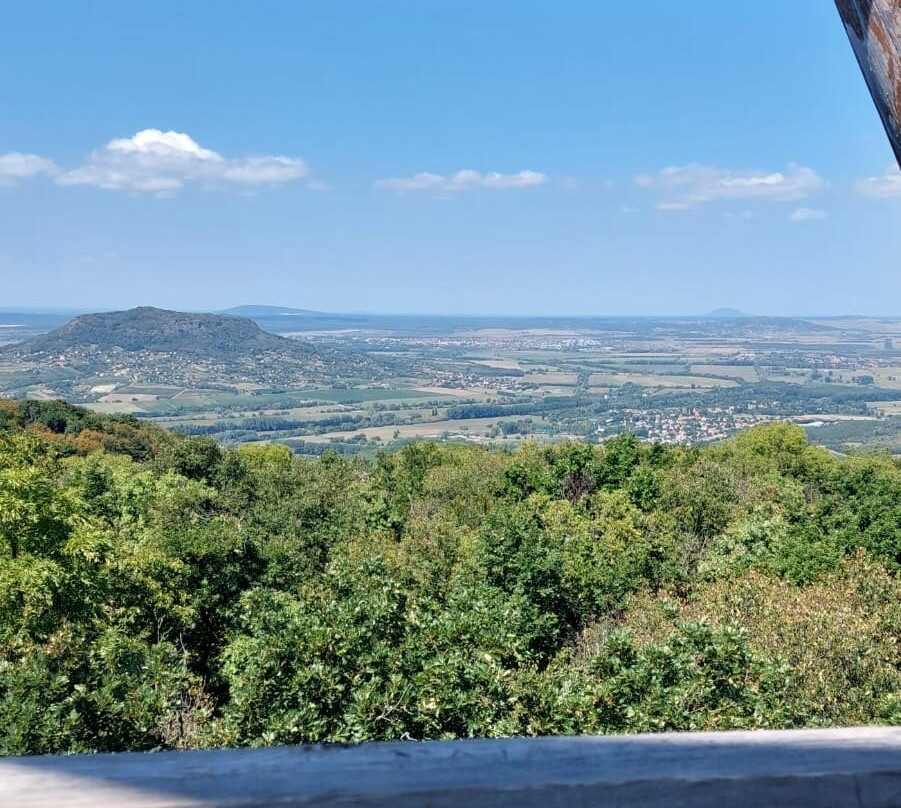 Hotel Bonvino Wine and Spa Badacsony主图