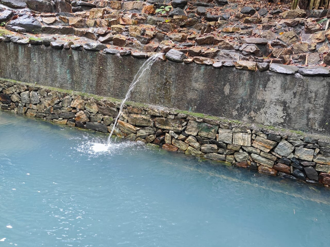 The Tree Organic Farm & Stay