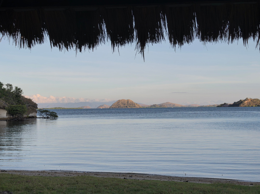 Scuba Junkie Komodo-Labuan Bajo必去景点