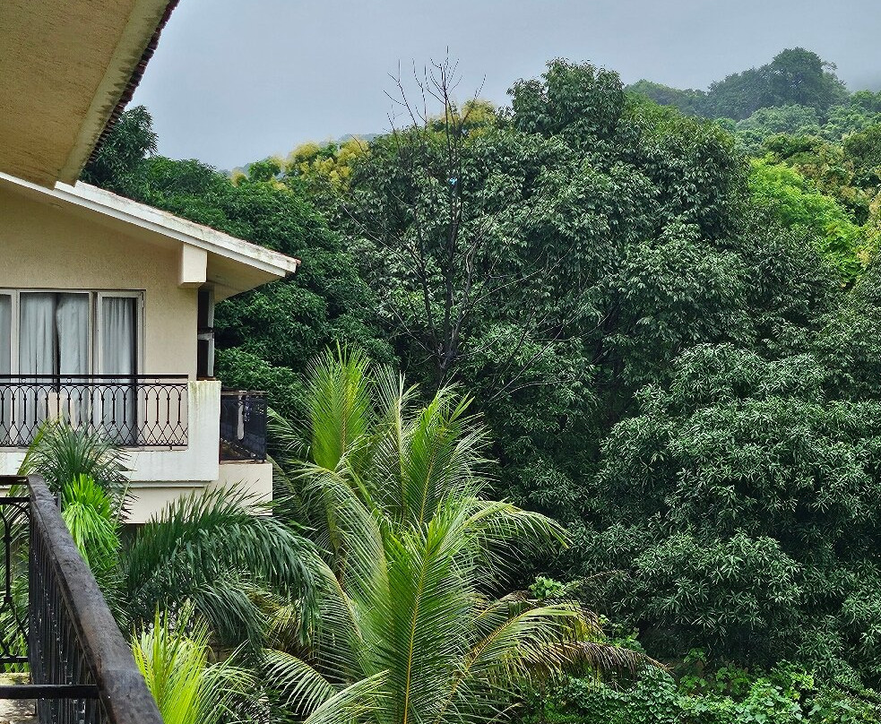 Wood Stock Acres Villa Resort