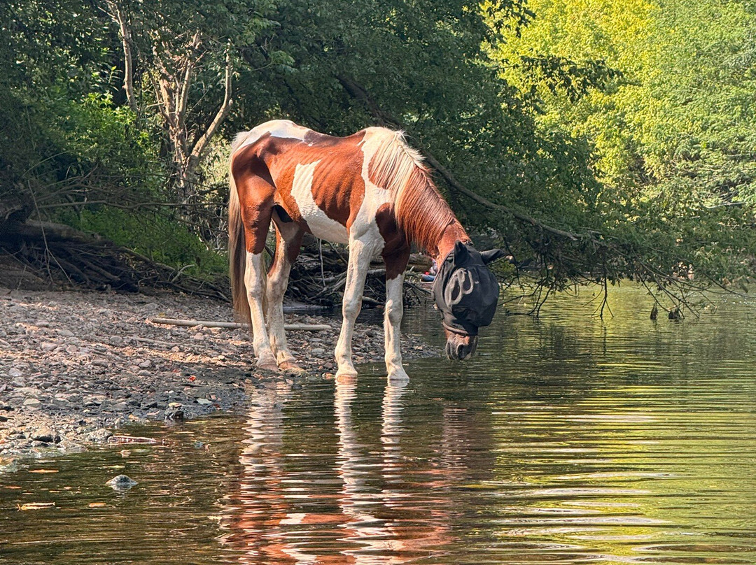 Canoë Vezère Univerland-Les Eyzies-de-Tayac-Sireuil必去景点