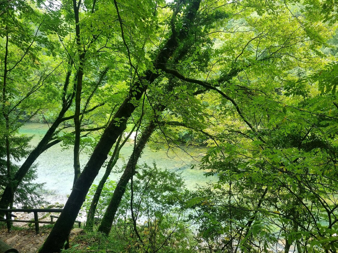 Grotte di Oliero-Valstagna必去景点