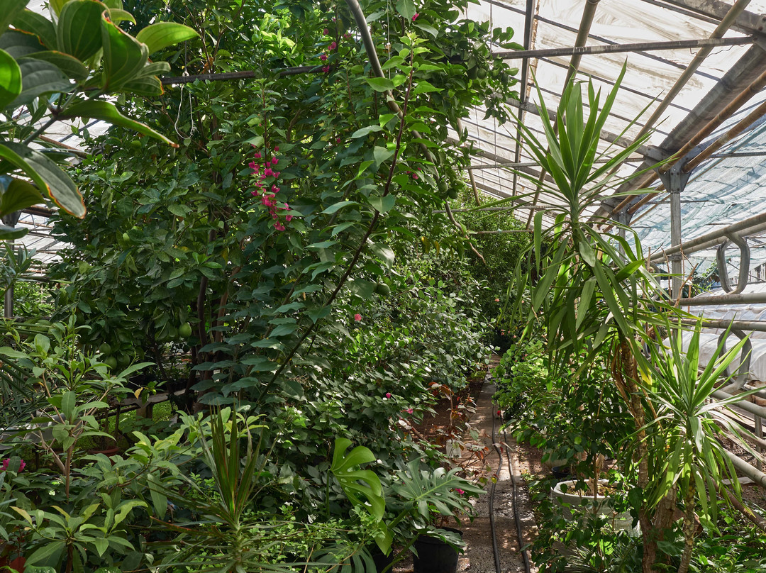 Lemonarium-乌法必去景点