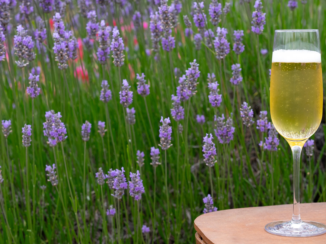 Heidrun Meadery-Point Reyes Station必去景点