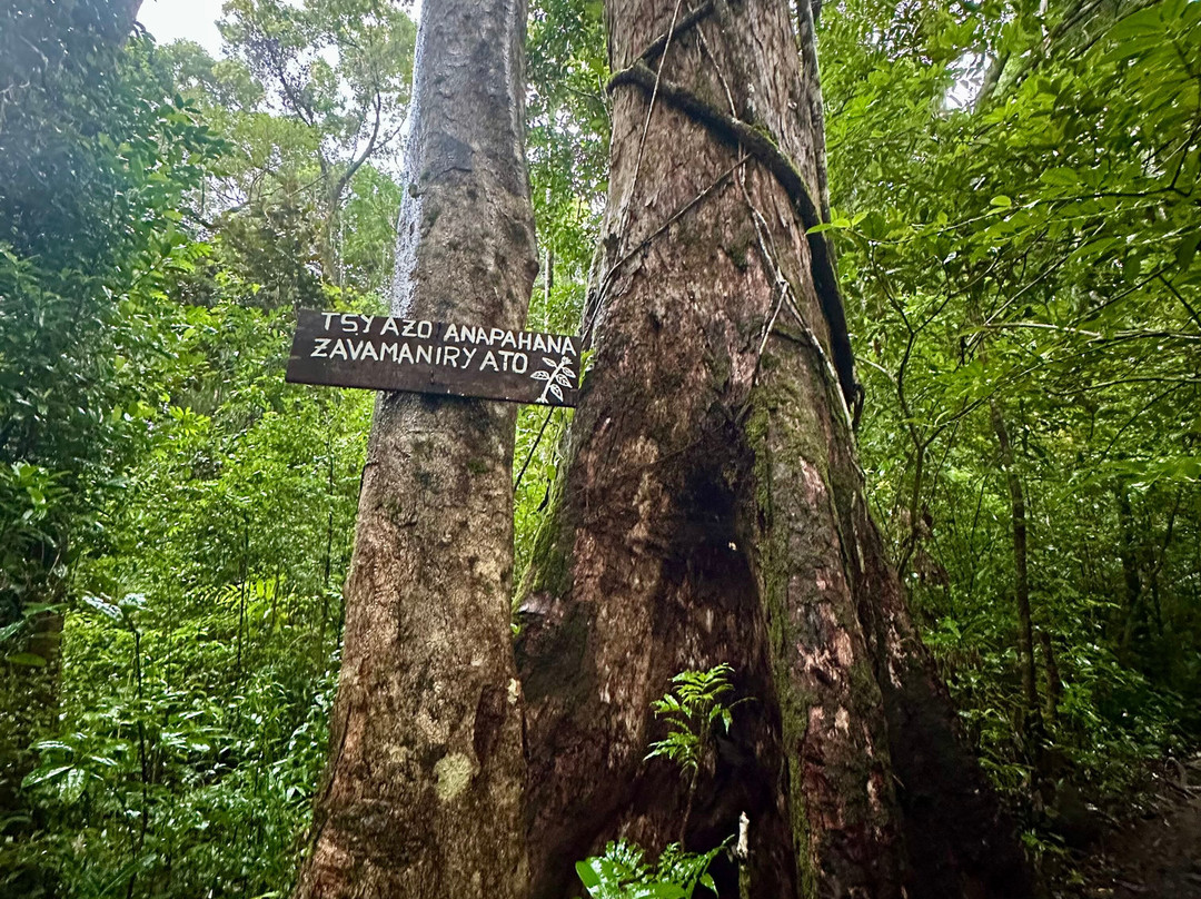 Masoala Travel Guide-Maroantsetra必去景点