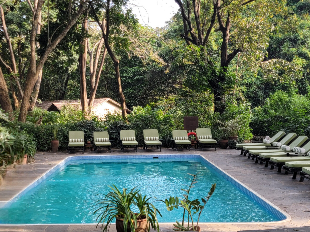 河边树乡村酒店主图