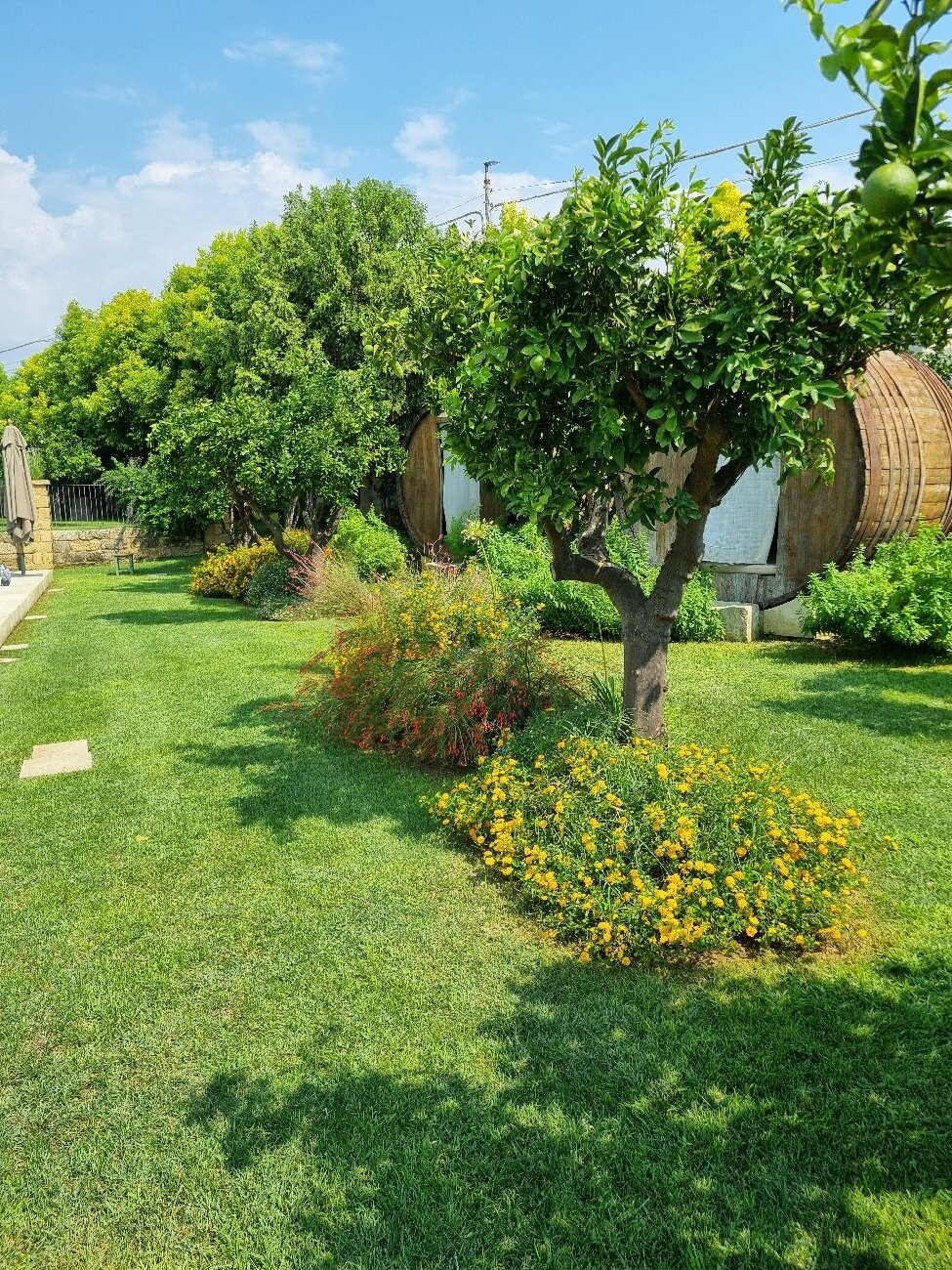 Nohasi Palace Hotel & SPA-官方