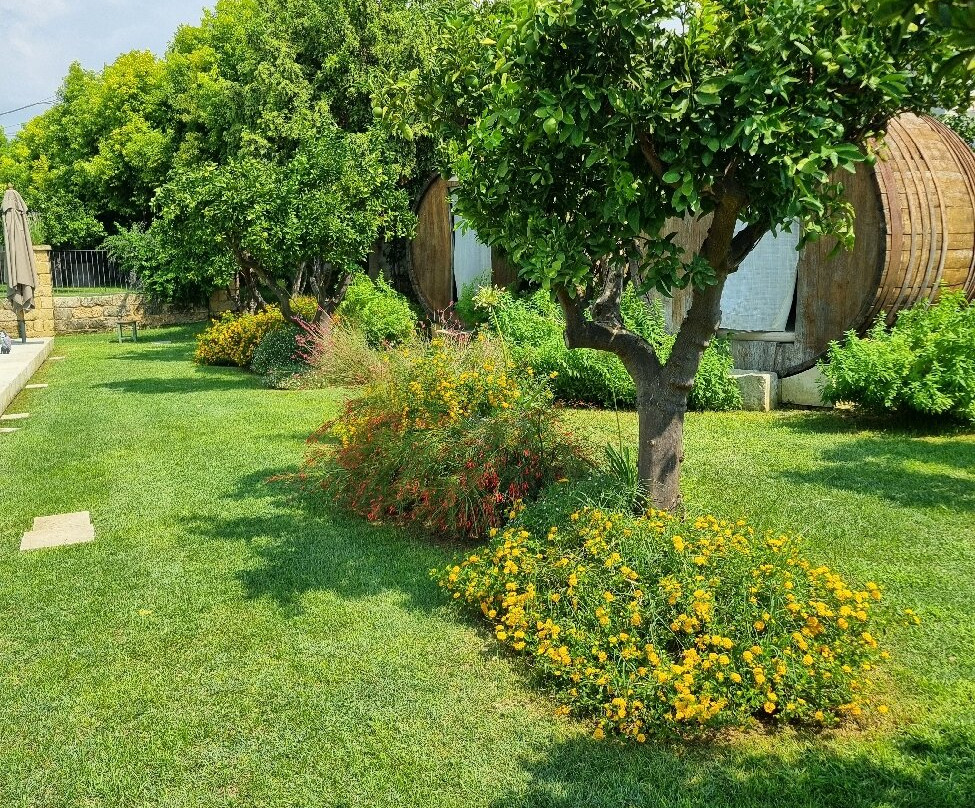 Nohasi Palace Hotel & SPA主图