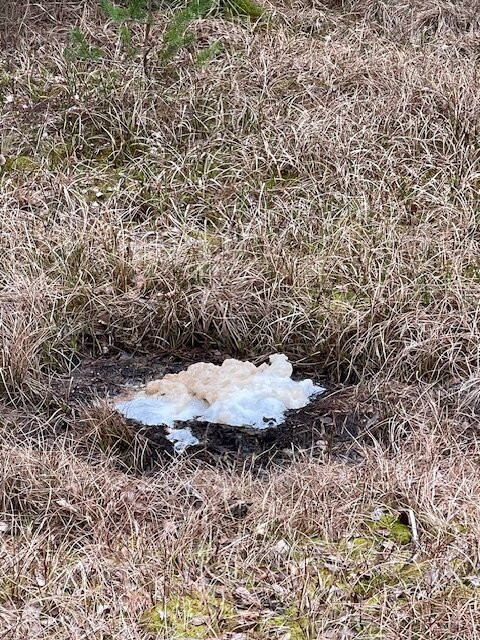 SOOS National Nature Reserve-弗提科维泉市必去景点