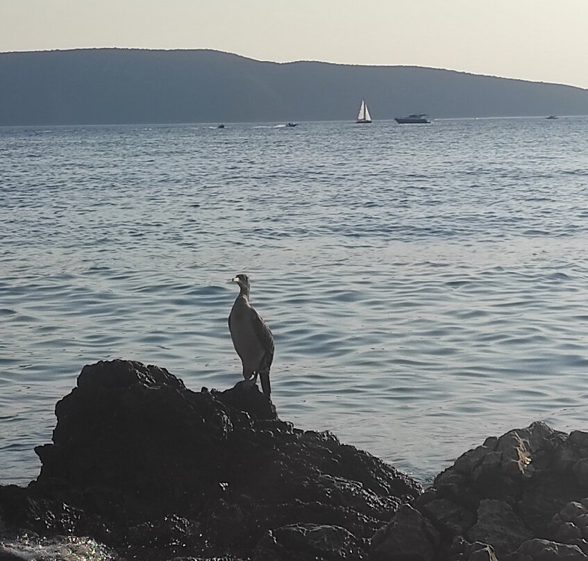 Beach Kovačine (Plaža Kovačine)