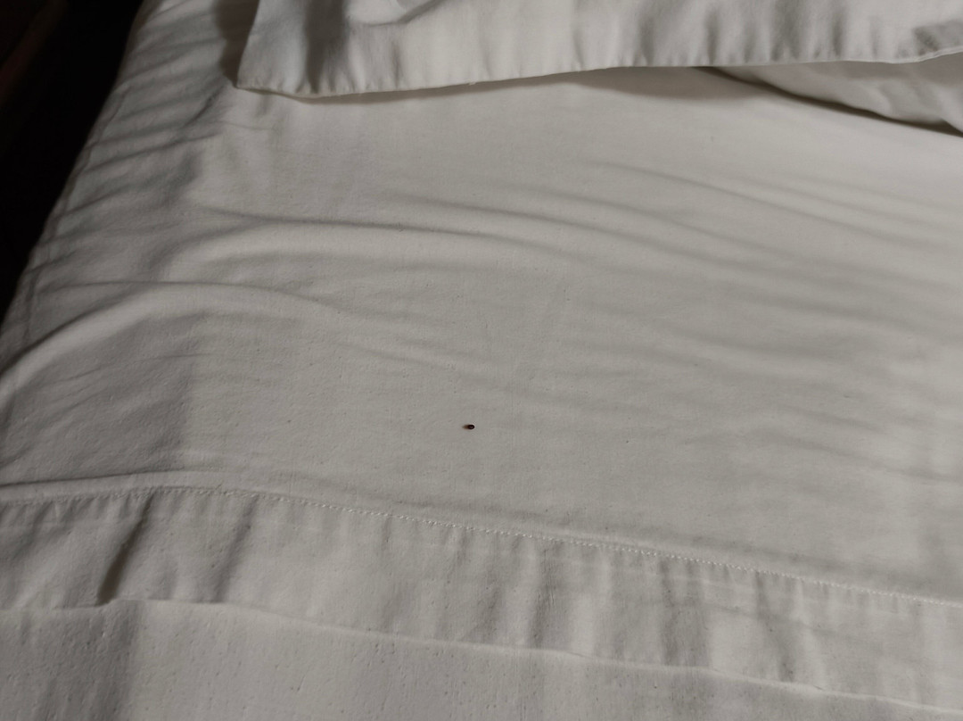 Hotel Relais Ras El Maa主图