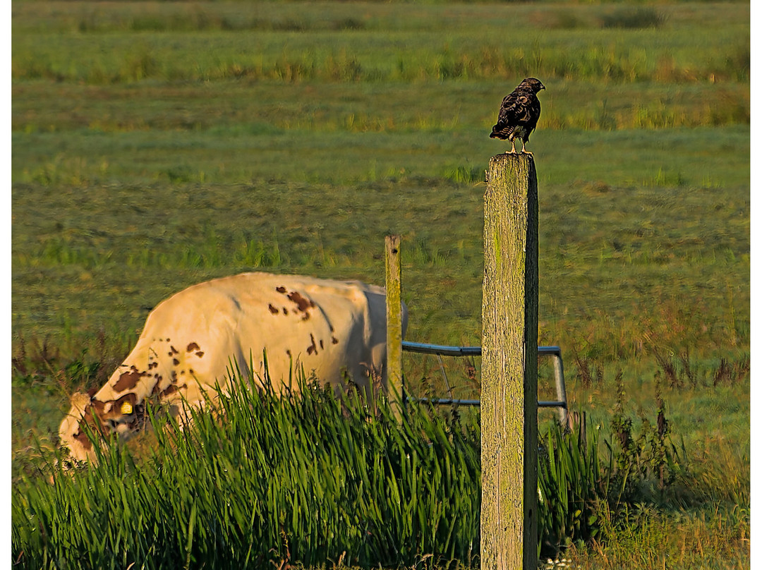 Rondvaart Zoetermeer-Zoetermeer必去景点