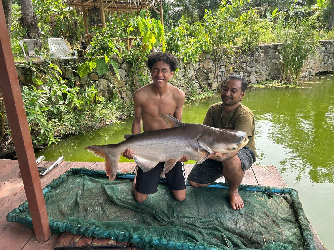 Phuket Monster Fishing Park-拉威必去景点