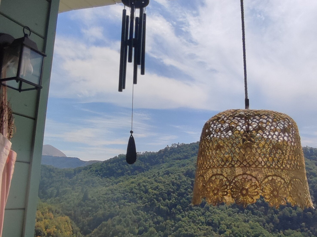 Libreria Sopra La Penna-Lucignana必去景点